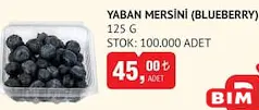 YABAN MERSİNİ (BLUEBERRY) 125 G YABAN MERSİNİ (BLUEBERRY) 125 G